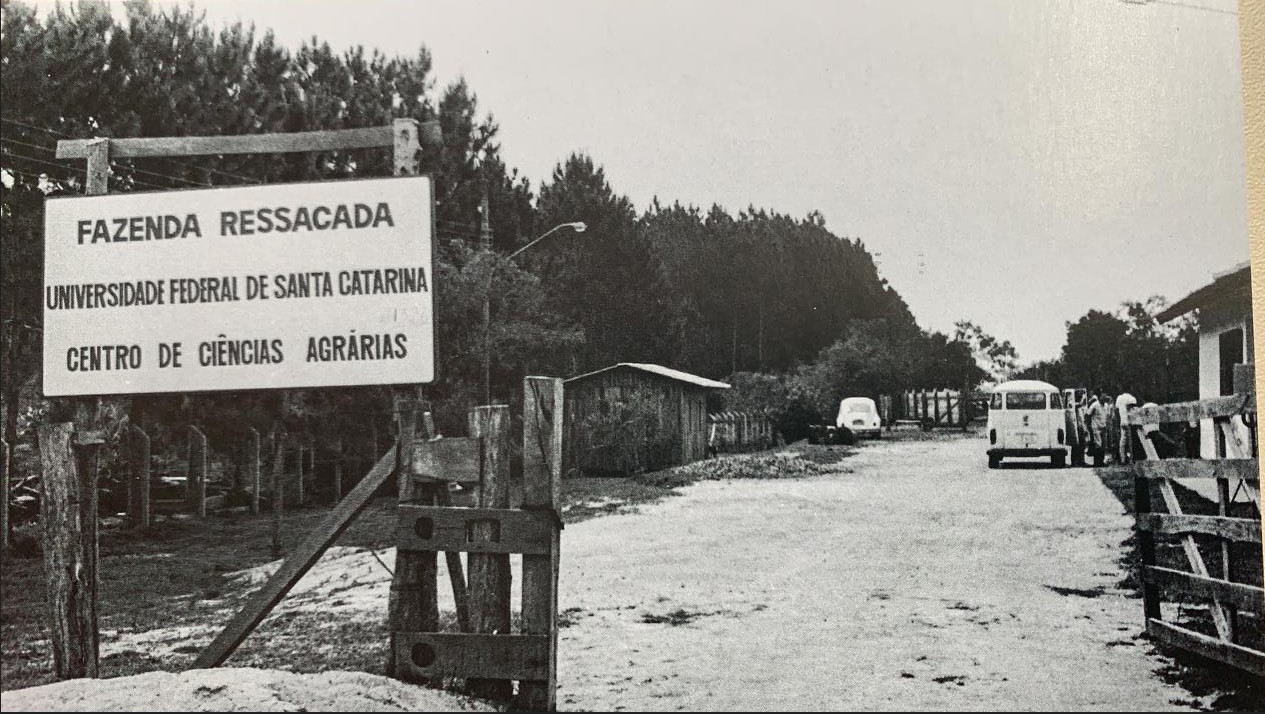 1989 Entrada Fazenda