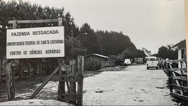 1989 Entrada Fazenda