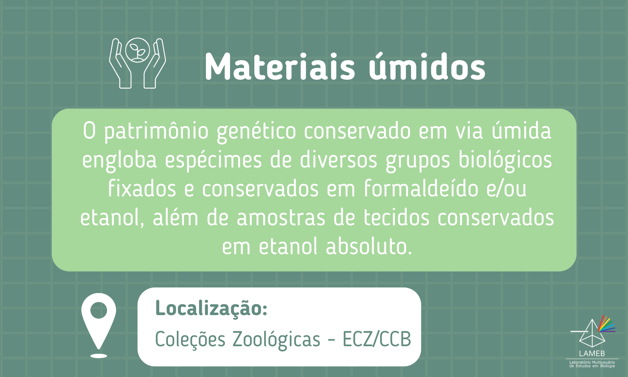 Materiais úmidos