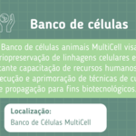 Banco de células