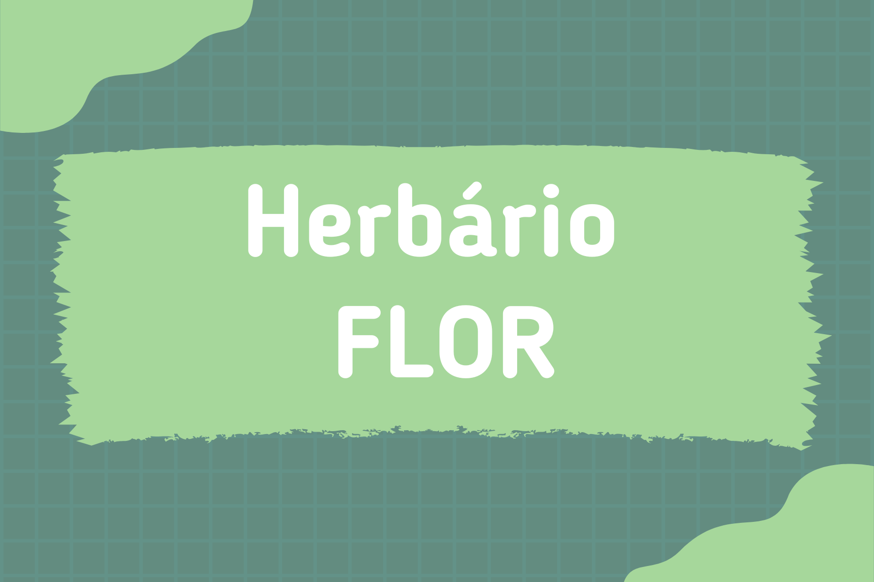 Herbário  FLOR