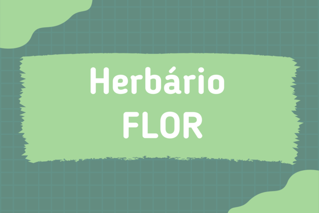 Herbário  FLOR
