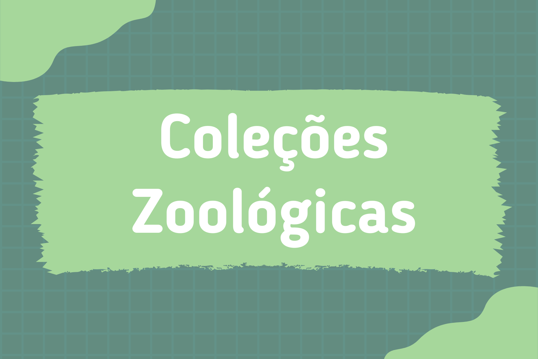 Coleções Zoológicas