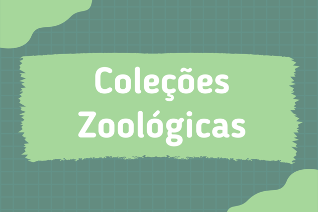 Coleções Zoológicas