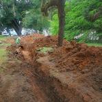 IMG_09 – 2024-10-02
