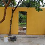 IMG_04 – 2024-11-01