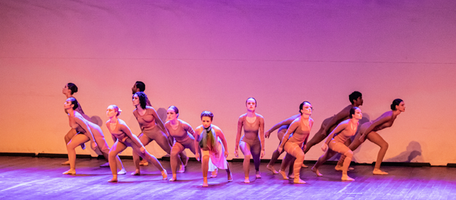 Exposição fotográfica | "Um ano da Companhia de Dança UFSC" @ Hall | Centro de Cultura e Eventos da UFSC