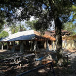 IMG_07-2024-03-01