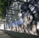 IMG_08-2024-11-13