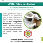 VISITA TECNICA -  Cidade das Abelhas_Prancheta 1