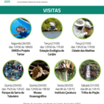 VISITA - GERAL_Prancheta 1