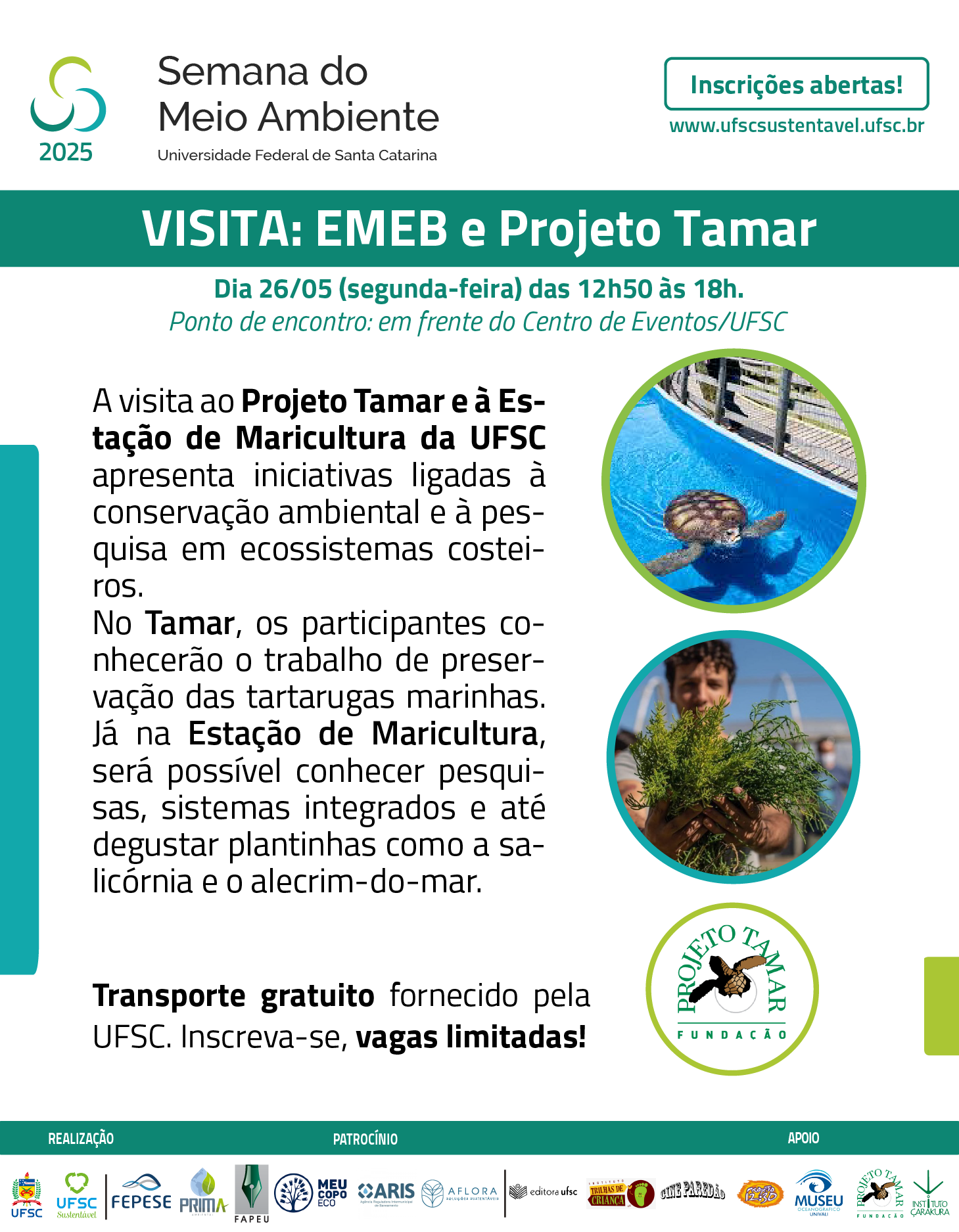 VISITA TECNICA -  Projeto Tamar e EMEB_Prancheta 1