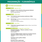 Programaçao por categoria 03_Prancheta 1