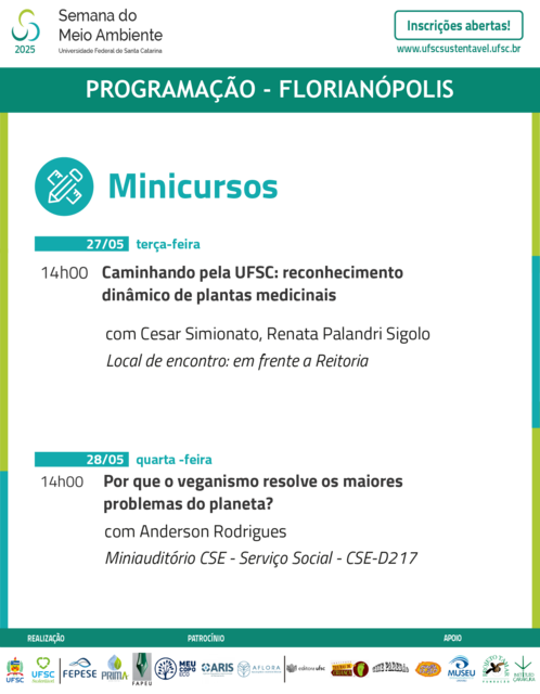 Programaçao por categoria 01_Prancheta 1