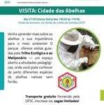 VISITA TECNICA -  Cidade das Abelhas_Prancheta 1