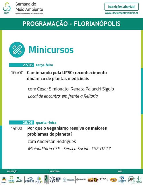 Programaçao por categoria 01_Prancheta 1