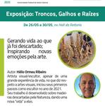 Exposição - Troncos, Galhos e Raízes_Prancheta 1