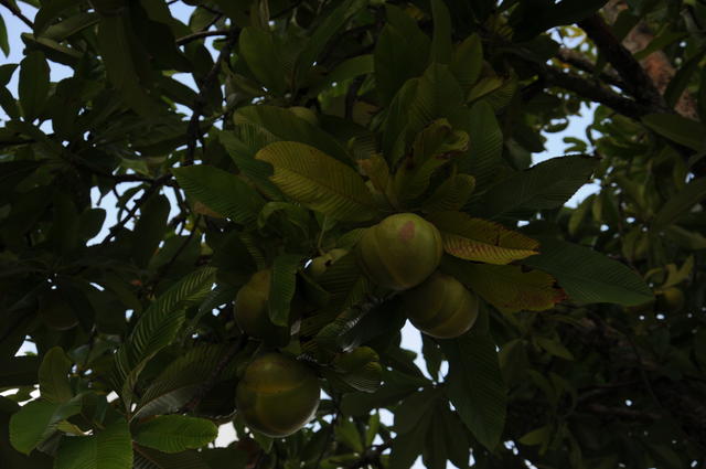 [16.058] Título: Sem título | Autor: Jheniffer Silva | Local: Não identificado
