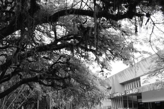 [24.102] Título: Conhecimento à Sombra | Autor: Carolina Barth | Local: BU, Trindade