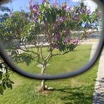 [34.151] Título: Sem título | Autor: Gabriela Roveda | Local: Não identificado