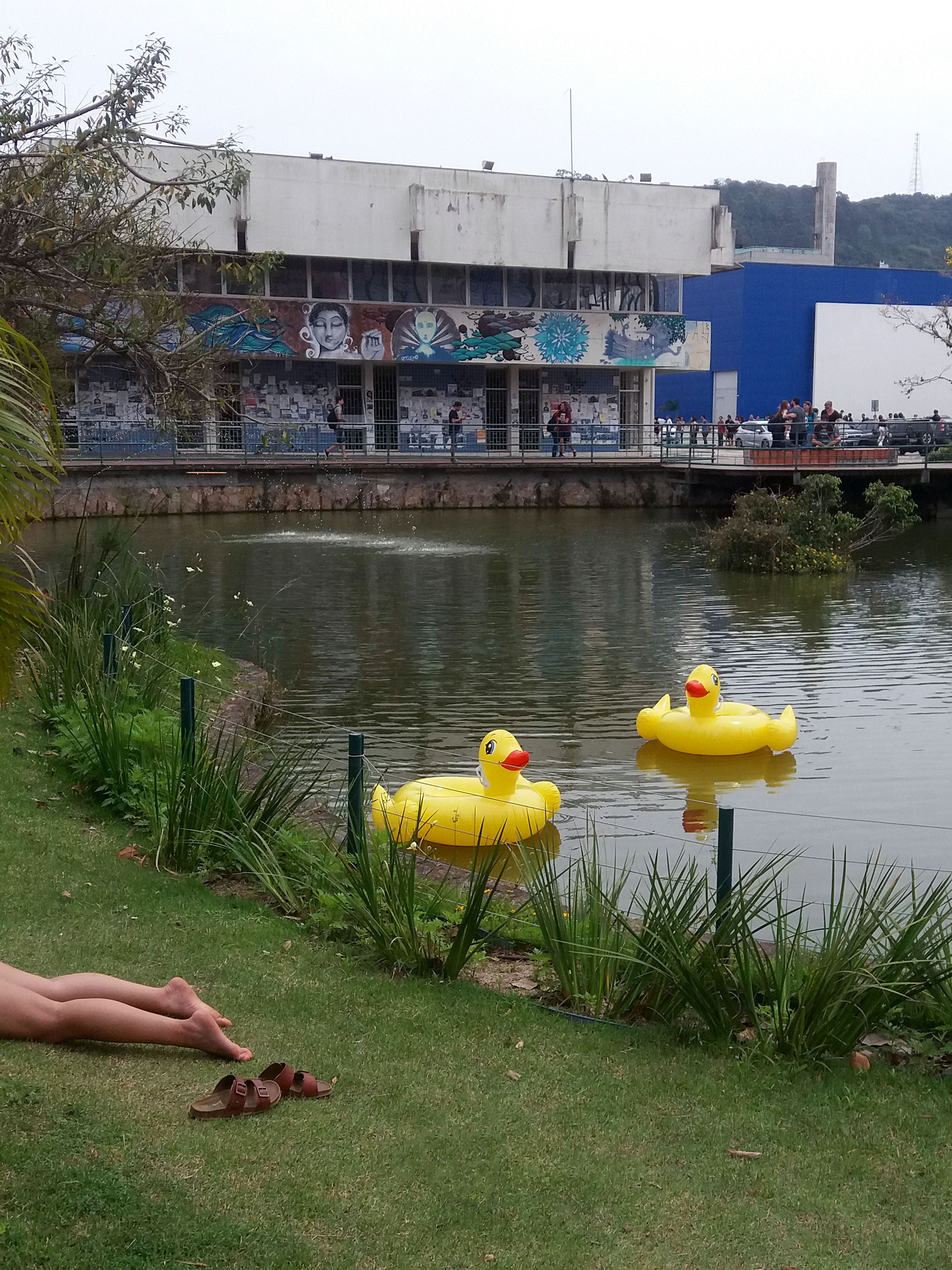 [18.066] Título: Eu acho que vi um patinho | Autor: Audrey Schmitz | Local: Laguinho perto do Centro de Eventos