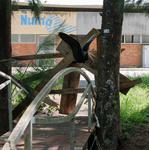[22.096] Título: Natureza em detalhe 3 | Autor: Luísa Greggio | Local: Em frente ao NUMA, UFSC Trindade