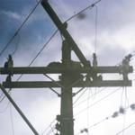 [25.112] Título: Dois ninhos de João-de-barro sobre um poste | Autor: Heloisa Barni | Local: Centro Tecnológico (CTC)