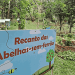 [30.138] Título: Recanto das Abelhas-sem-ferrão | Autor: Daniel Vasconcelos | Local: Colégio de Aplicação UFSC