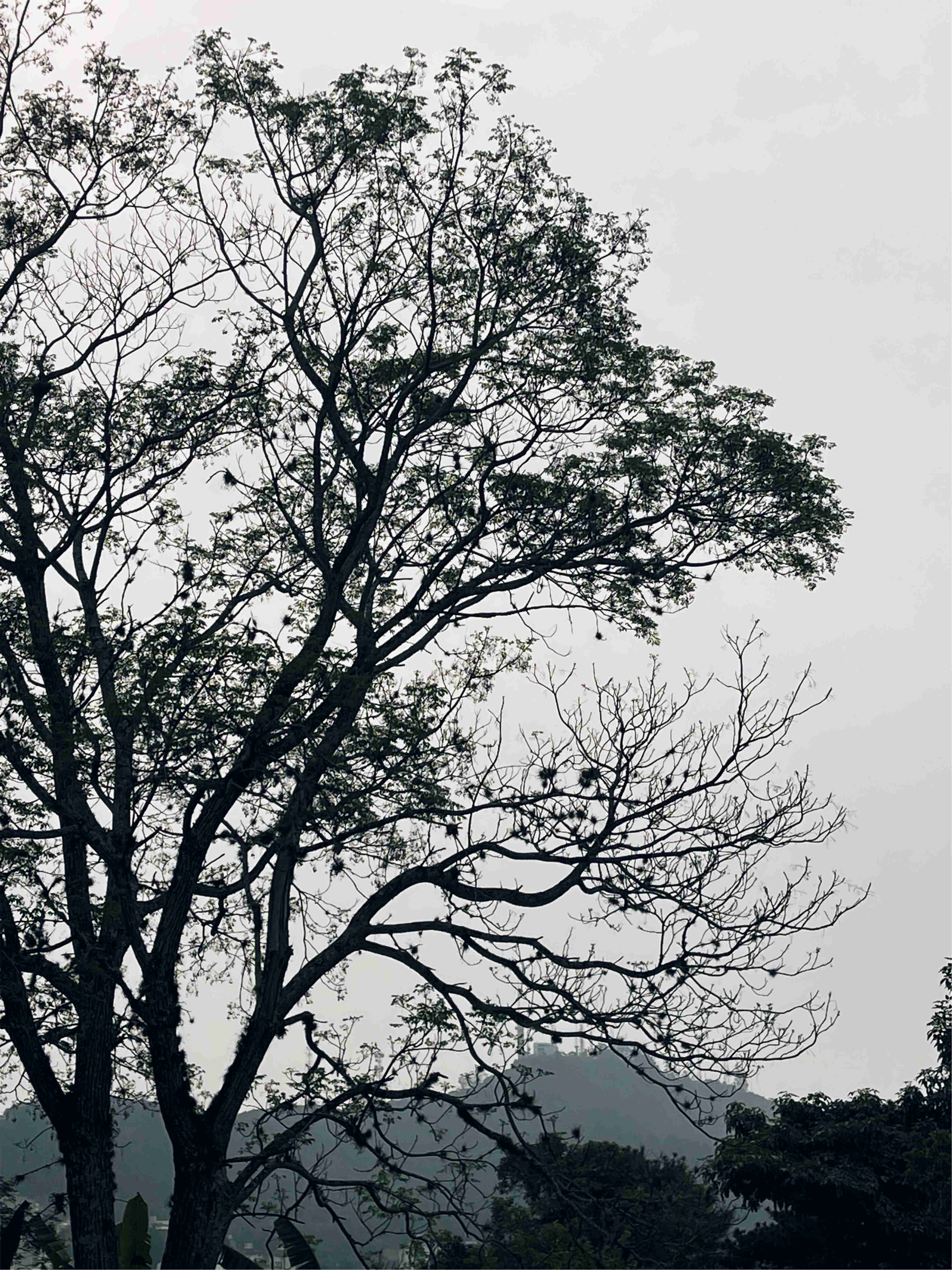 [15.055] Título: Fumaça | Autor: Luís Pavan | Local: Departamento de Arquitetura e Urbanismo