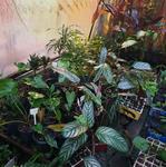 20.077_SUSTENTABILIDADE