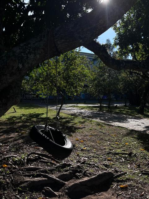 [37.175] Título: Sustentabilidade | Autor: Giovanna Cruz | Local: Bloco D, CCE