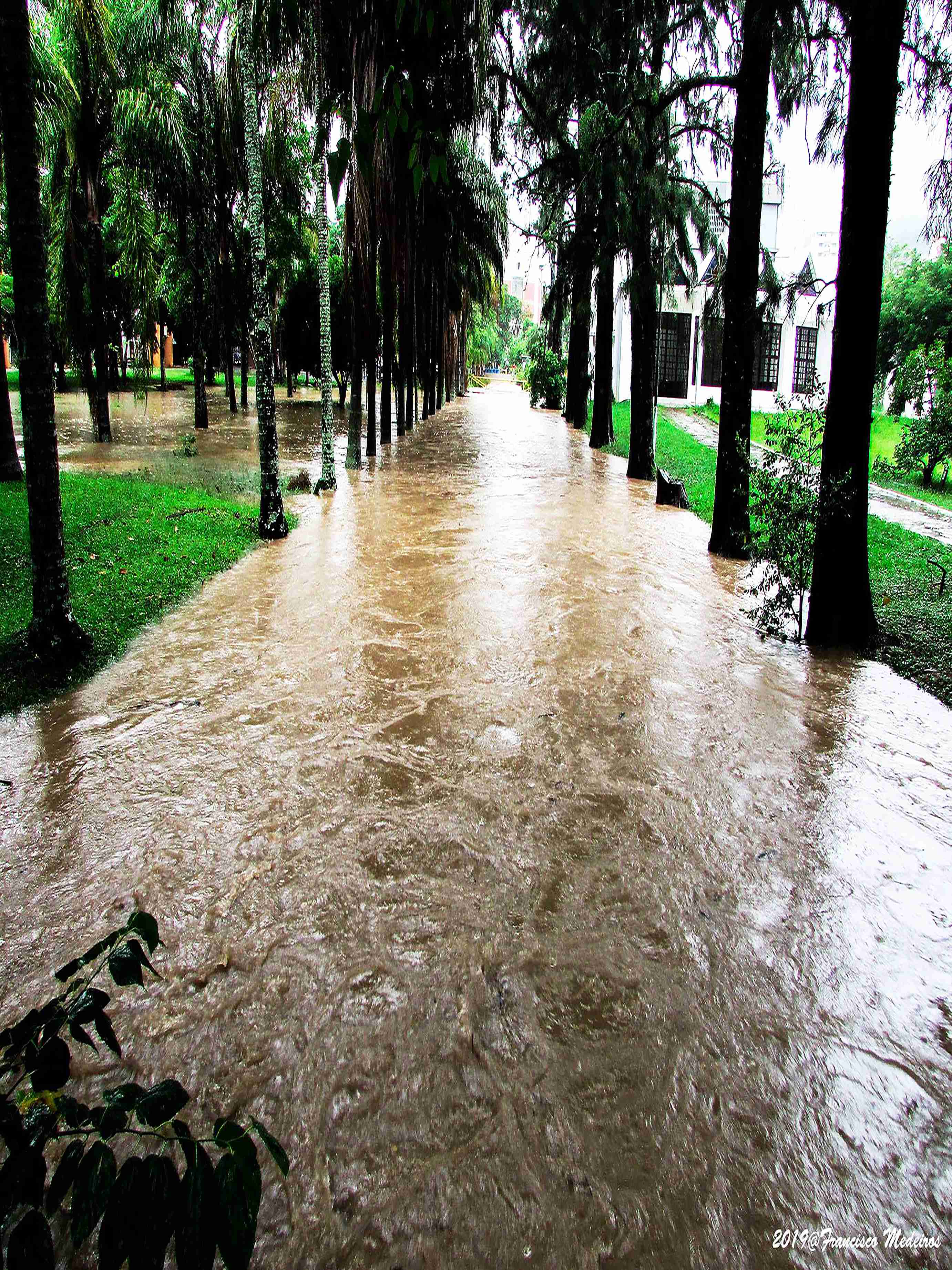 07.020 | Título: Córrego transbordando | Autor: Francisco Medeiros | Local: Entre BU e Templo Ecumênico