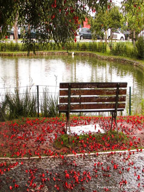 07.024 | Título: Banco e lago em dia chuvoso | Autor: Francisco Medeiros | Local: Ao lado do Centro de Eventos