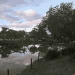 14.051 | Título: O lago logo anoitece | Autor: Marco Remuzzi | Local: Lagoa da UFSC