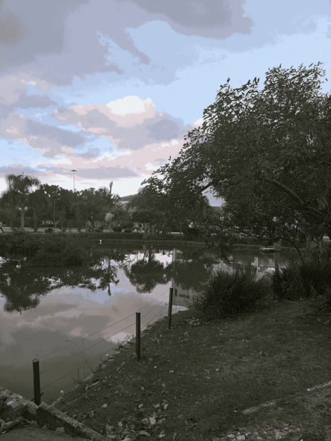 14.051 | Título: O lago logo anoitece | Autor: Marco Remuzzi | Local: Lagoa da UFSC