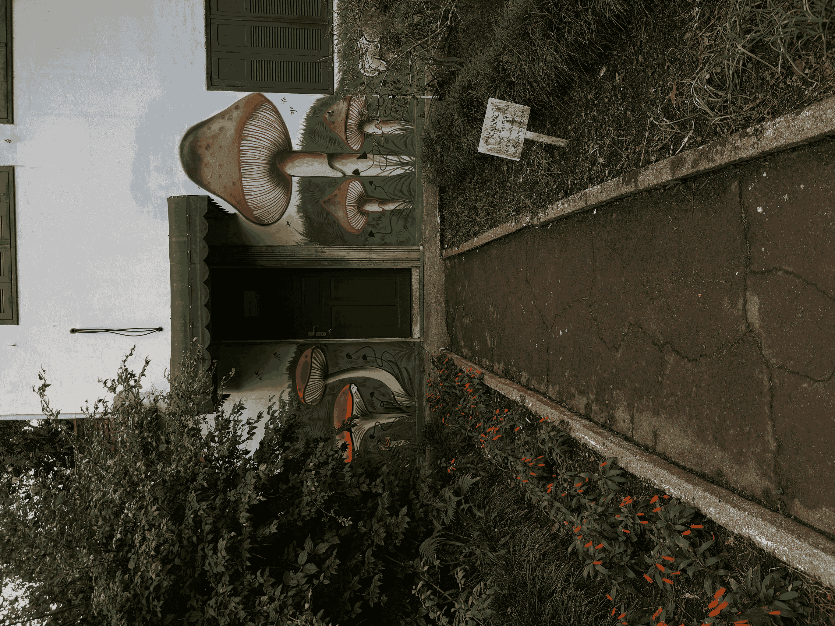[26.119] Título: Mural de cogumelos | Autor: Janice Warsodikromo | Local: Departamento de Botânica