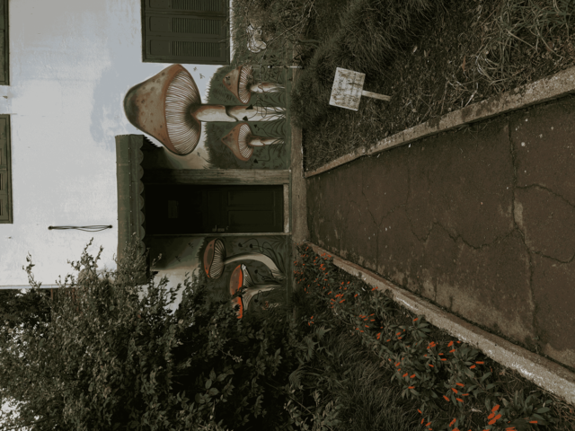 [26.119] Título: Mural de cogumelos | Autor: Janice Warsodikromo | Local: Departamento de Botânica