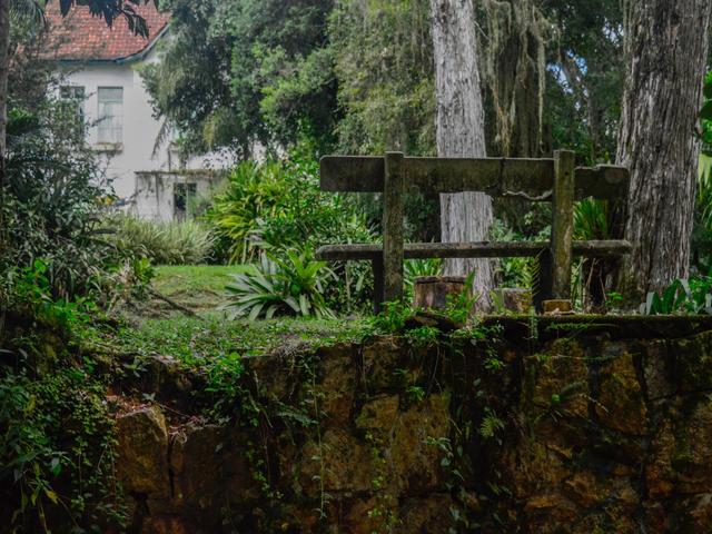 [38.188] Título: Sem título | Autor: Pedro Gimenez | Local: Jardim em frente à botânica