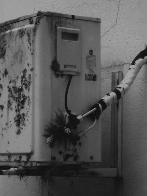 [40.202] Título: Sem título | Autor: Isaac Lopes | Local: Bloco A do CCE