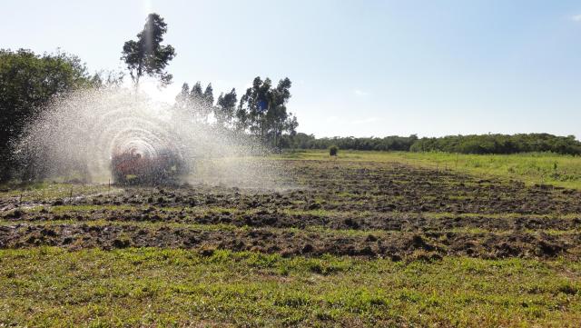 20110929 Fazenda silvicultura irrigação bracatinga 002.jpg