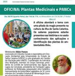 OFICINA - Plantas Medicinais e PANCs_Prancheta 1 (1)
