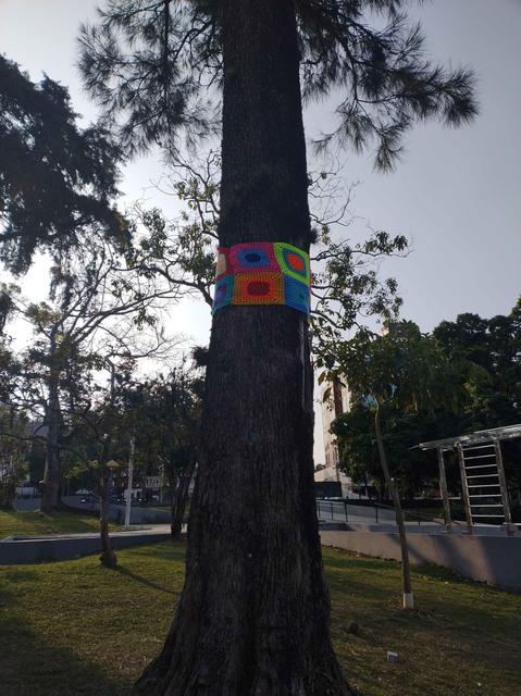 [04.008] Título: Decoração arbórea | Autor: Eveline Besen | Local: Praça Santos Dumont, UFSC