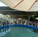 WhatsApp Image 2025-05-29 at 16.33.29 (1)