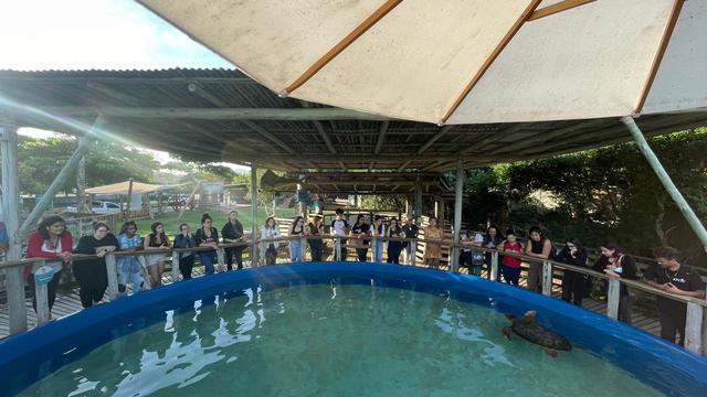WhatsApp Image 2025-05-29 at 16.33.29 (1)