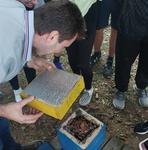 WhatsApp Image 2025-05-30 at 13.54.24