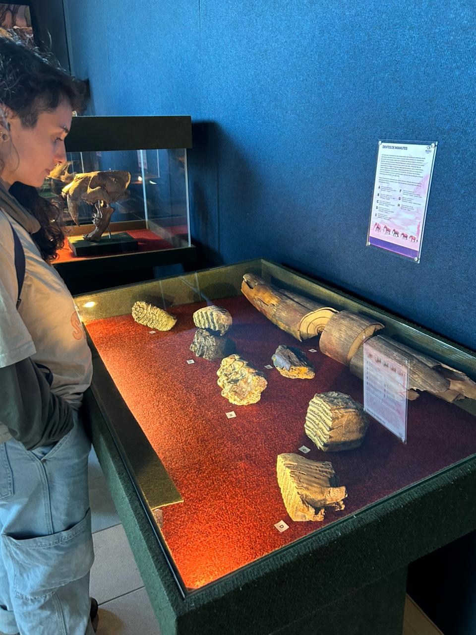 WhatsApp Image 2025-05-29 at 18.42.02