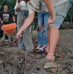 WhatsApp Image 2025-05-29 at 16.45.58