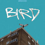 POST BIRD_