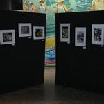 DSC_6256[1]