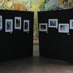 DSC_6258[1]